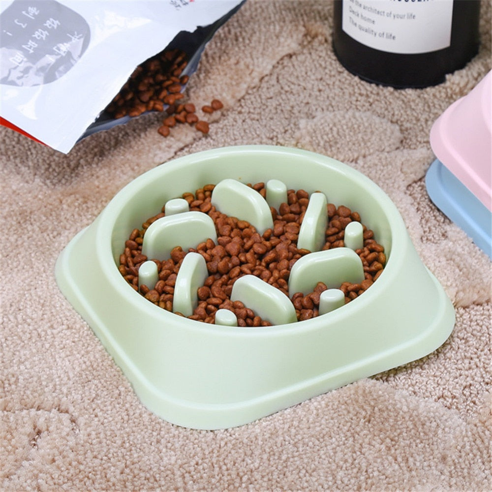 Slow Feeder Pet Bowl